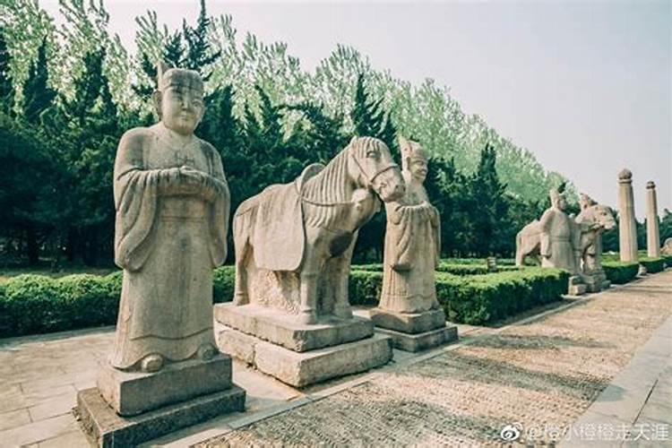 狗是一年四季都可以养吗？