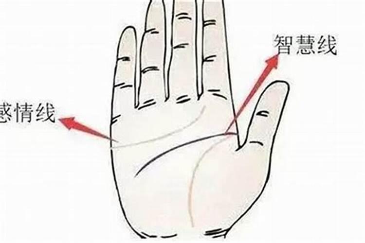 自己开财库的步骤与方法
