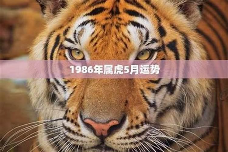 家里破产了,一直很倒霉,求化解的方法