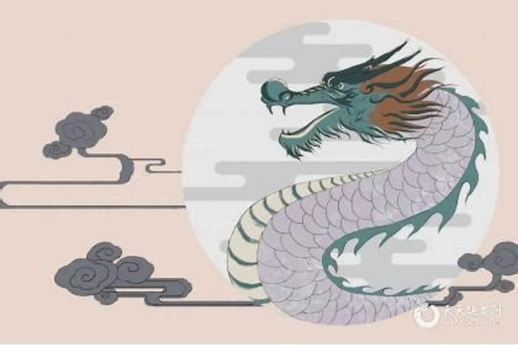 我是82年属狗的,我女朋友是属龙的88年的,和的来吗？