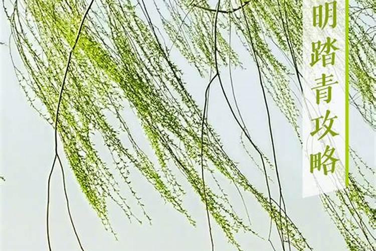 清明节前扫墓叫什么,自贡清明旅游攻略