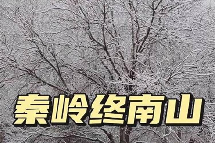 犯桃花运