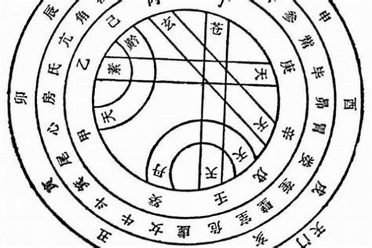 生肖猪1995年2025年运势如何 生肖猪1995年2025年全年运势