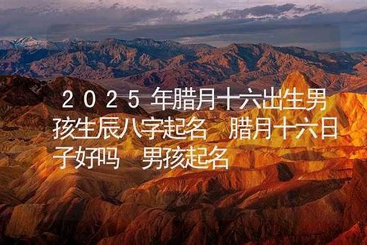 我是2001腊月十六阴历的生日,什么星座