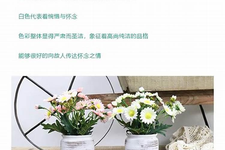 清明节哪些花草开花