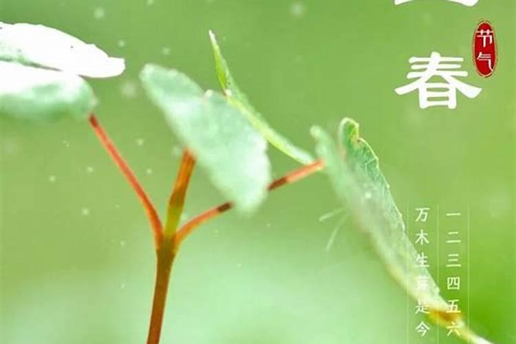 我姓王,我女儿是2010年8月15日(农历7月6日)上午11时08分出生,帮我分析...