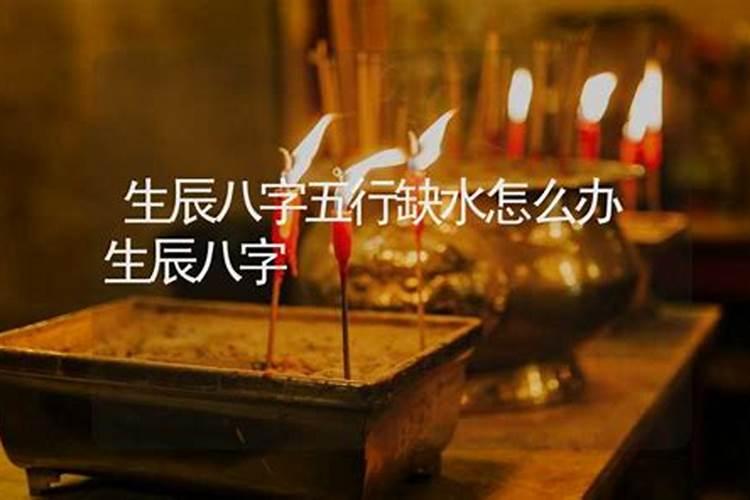 属鼠的人和什么属相是最配的？