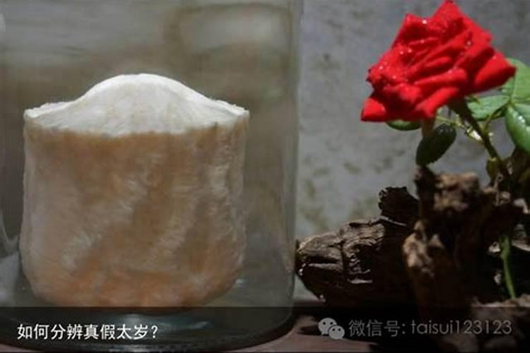 梦见蛇跟老虎的预兆