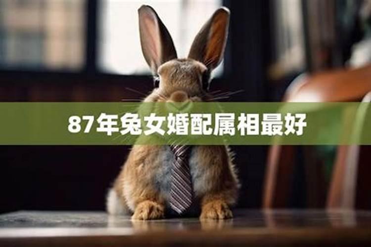 82年12月男和87年11月女合吗