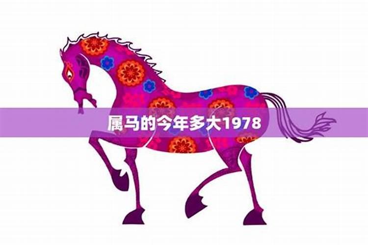 十月上海周边适合去哪里旅游,上海周边十月份旅游去哪好