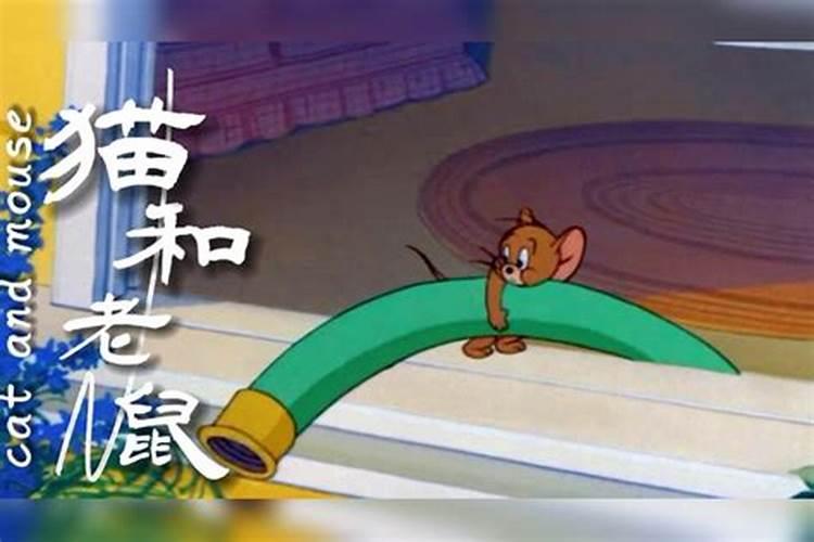 属蛇的女人梦见蛇 属蛇的人梦到蛇怎么解