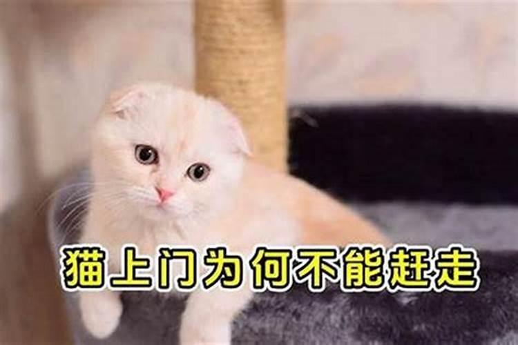 花姐和童子是什么？