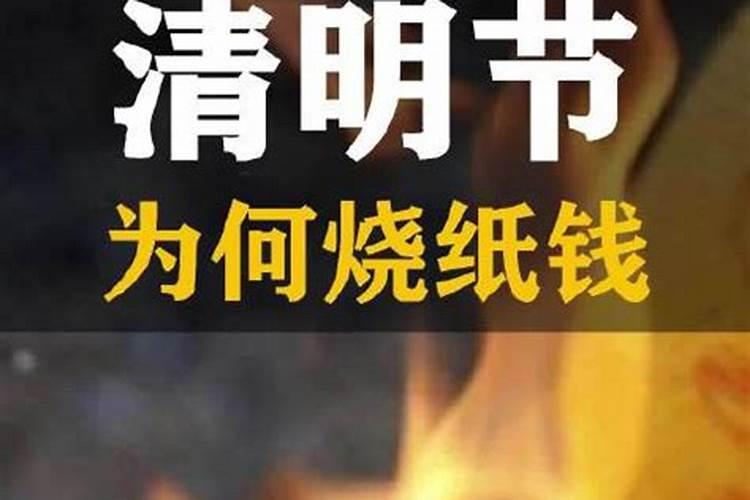 狗刑太岁是坐牢吗,狗年什么生肖犯太岁