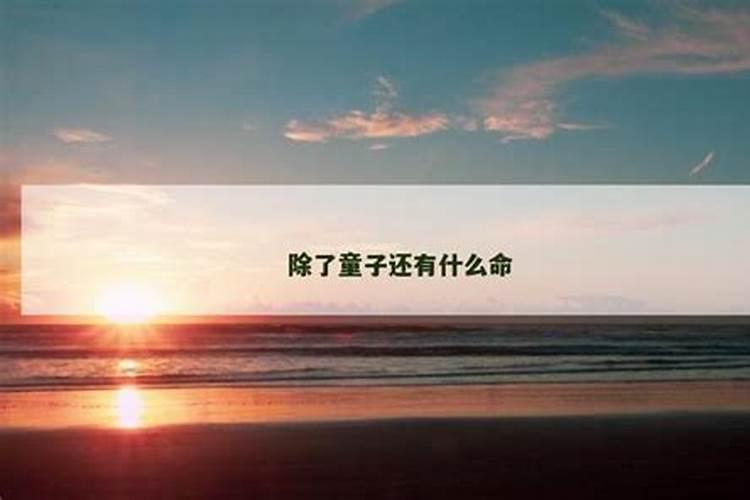 太岁泡水的危害