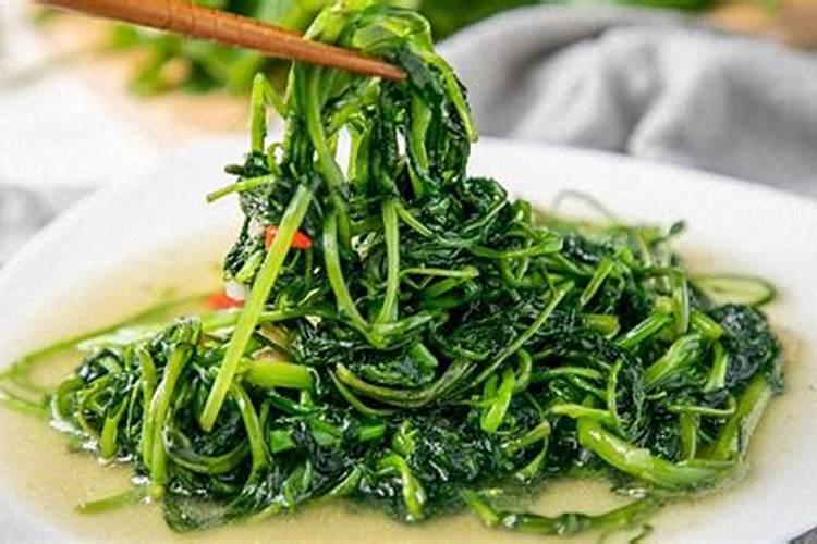 清明节当天能种菜吗