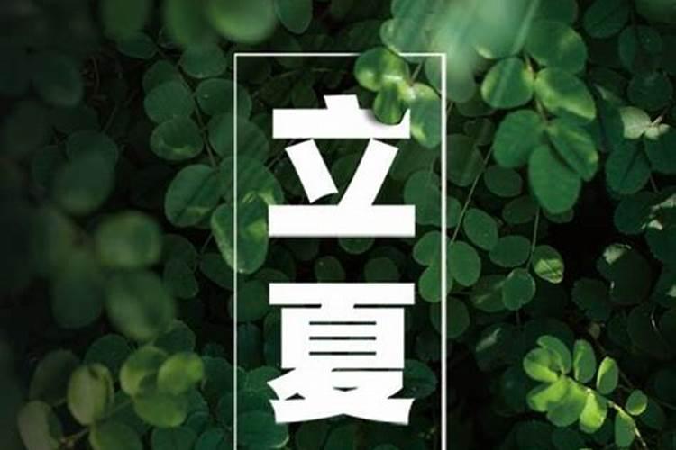本命年需要买什么