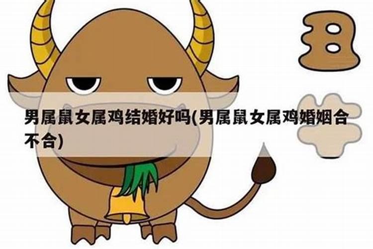 八字配对:属鼠男与属鸡女合得来吗 结婚会怎样