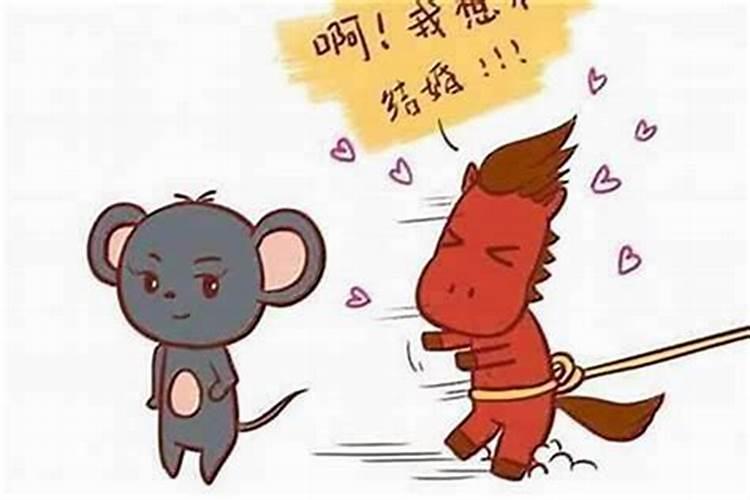 鸡和老鼠八字合不合