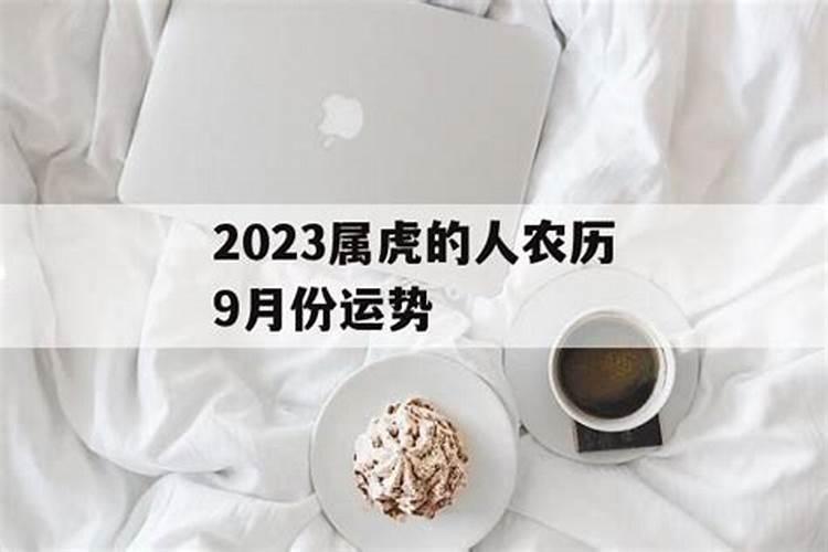 属虎的阴历1986年九月十八生的人 八字 这两年的运程怎么样