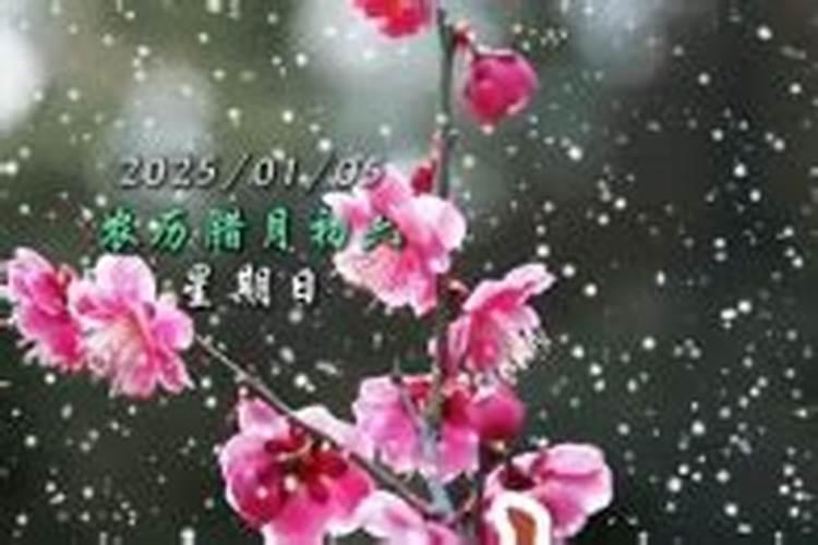 属马男和属兔女的婚姻相配吗