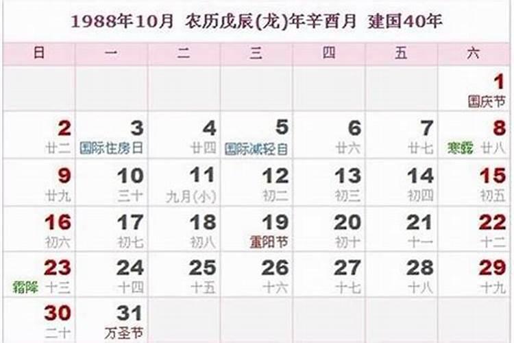 76年属龙人2024年每月运势