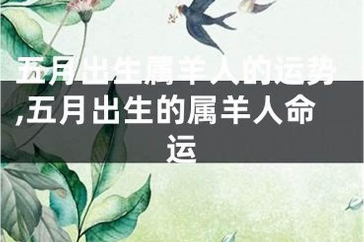 76年属龙人2023年运势及运程男性