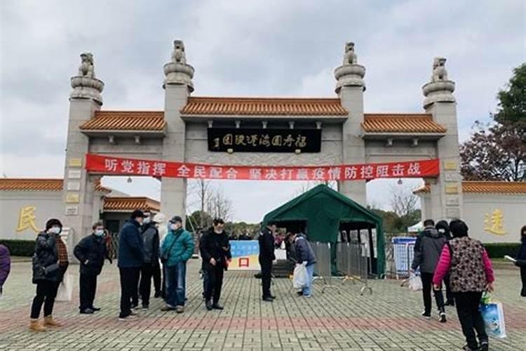 属鸡遇鼠年运势如何？