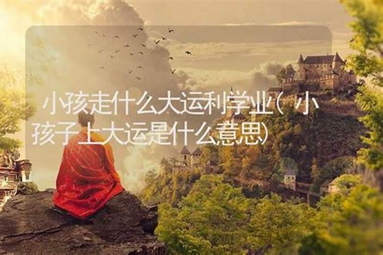 猪年2022年运势及运程,81年猪年运程