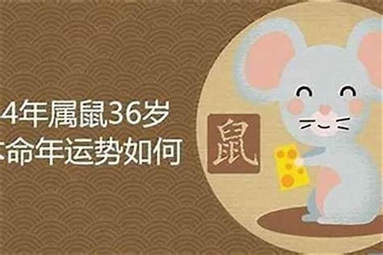 八四年鼠女在40岁是个坎吗22024 八四年鼠女2024到2034十年运程