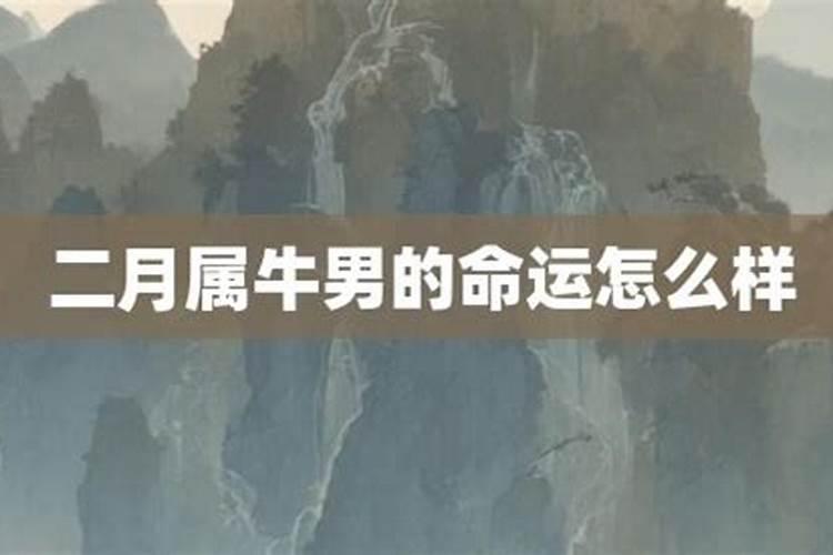 属牛的最佳配偶是什么 属牛人的婚配与什么属相最合适