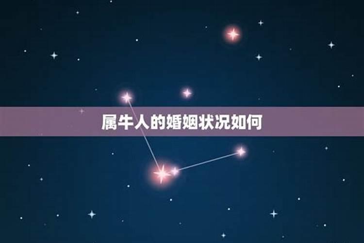 属牛的属相婚配表 最好的婚配？