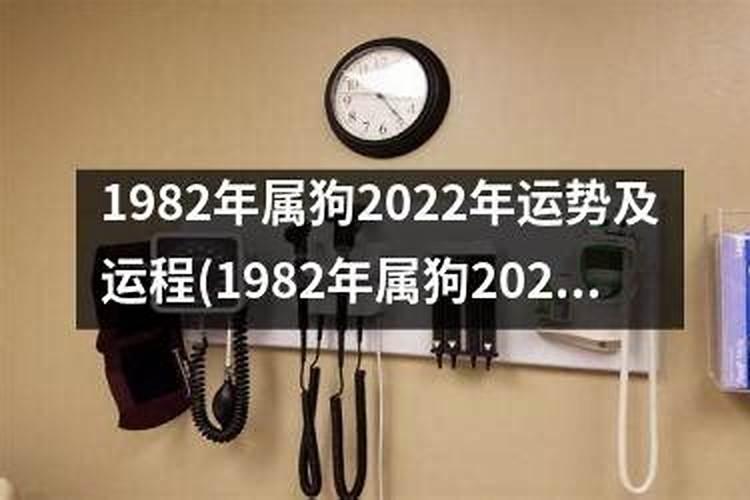 82年狗女2025年运势及运程每月运程
