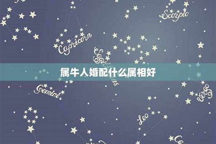 属牛的女人婚配什么属相最好