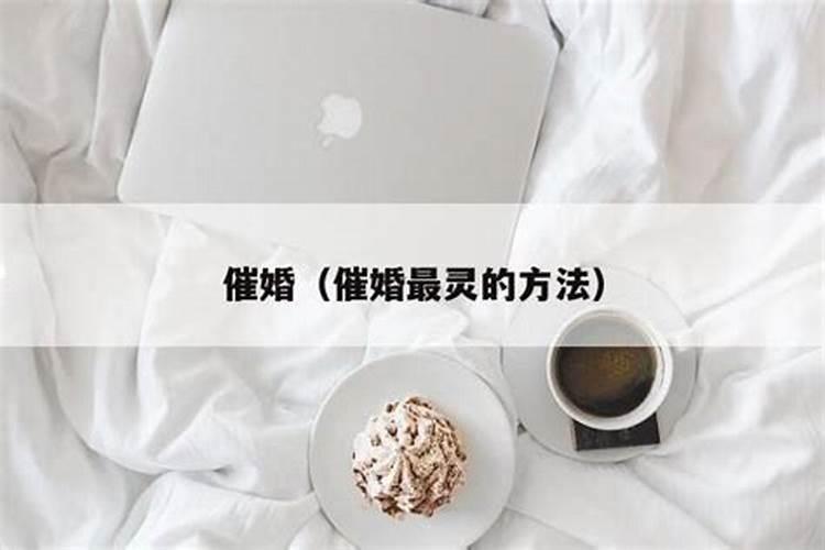 家里长辈都有哪些催婚妙招？