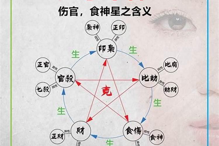 这些句子是什么意思？