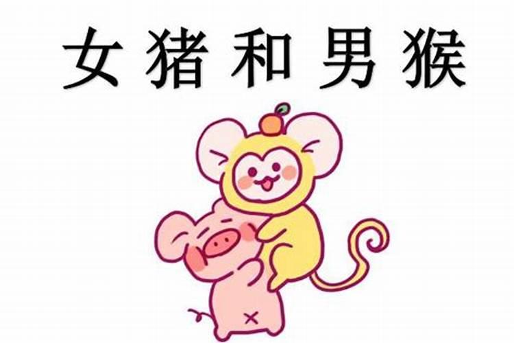 猪猴不到头的破解方法 破解属相不合的三个技巧？