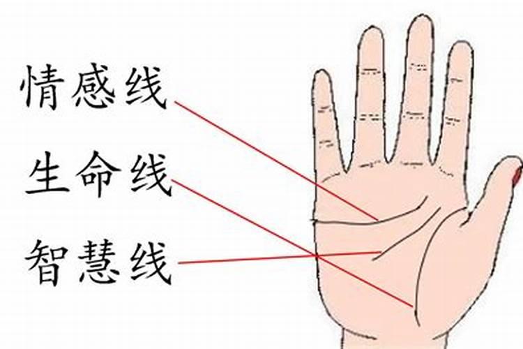 看手相看面相的都是骗人的吗？