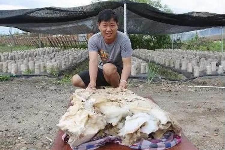 家有老人去世后要倒霉三年吗？