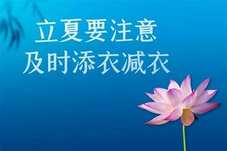 生肖狗1946年2025年运势如何 生肖狗1946年2025年全年运势