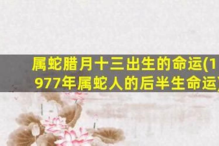 腊肉一般晒几天就可以了