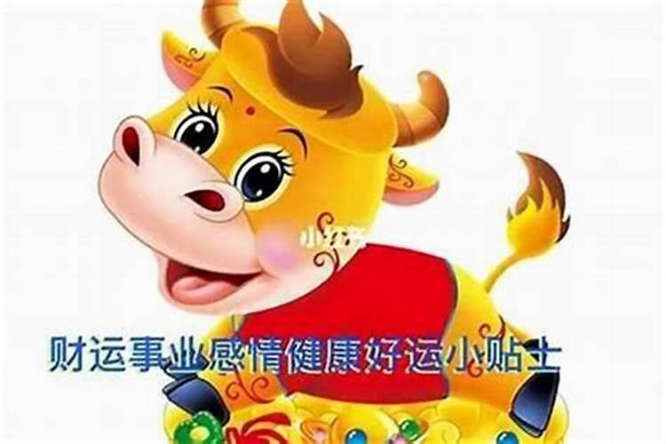 今年36岁属什么生肖