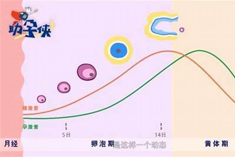 80属猴女在2025年6月2日偏财运旺盛吗