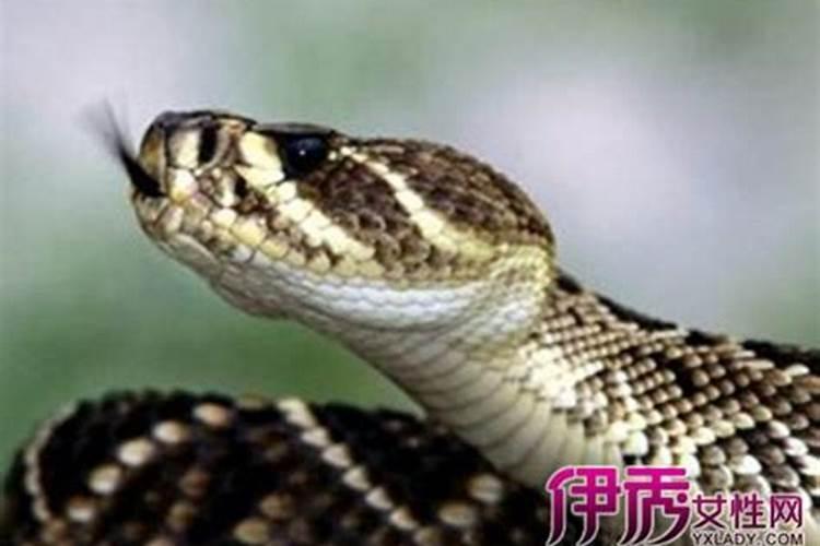六爻辰戌相冲什么情况下吉,六爻相冲相合