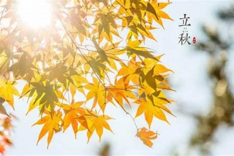 算命先生说立秋后15天交运,但我不知道从哪天开始数,到哪天结束,有知道...