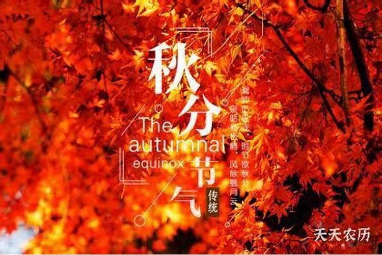 春分、秋分、夏至、冬至各是什么意思？