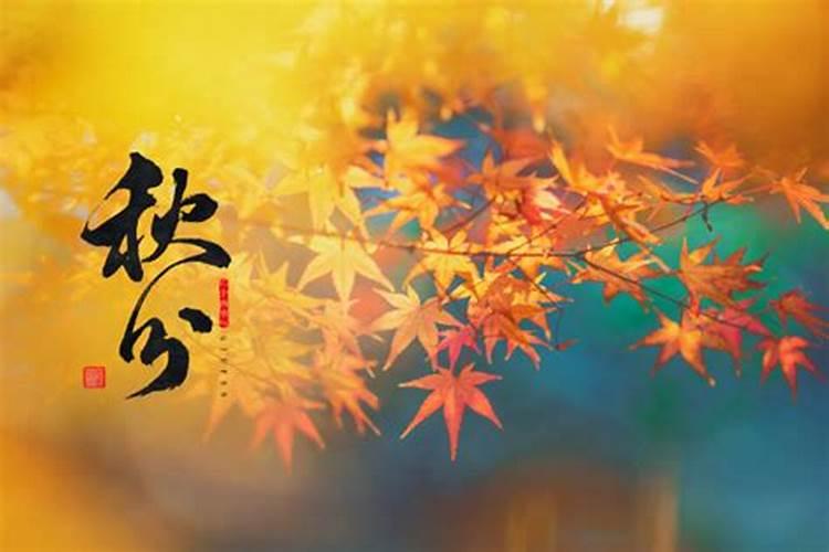 秋分节气意味着什么