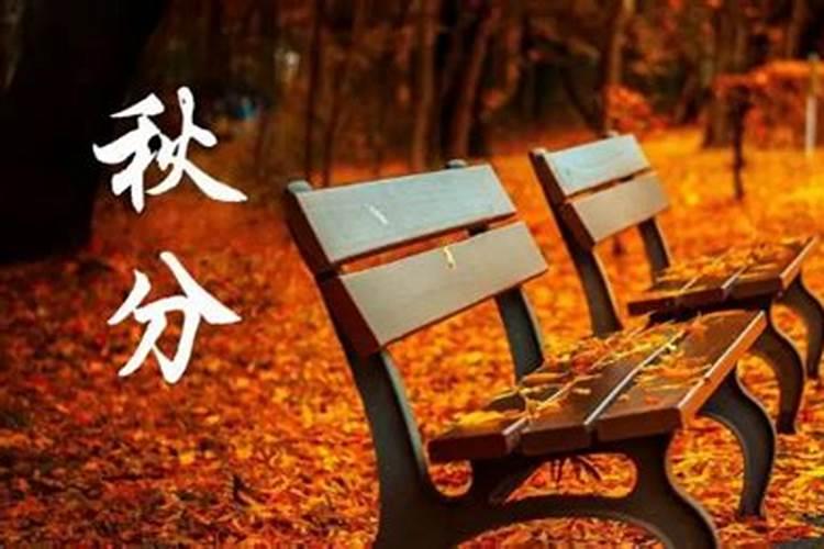 重庆的风俗 重庆的风俗介绍