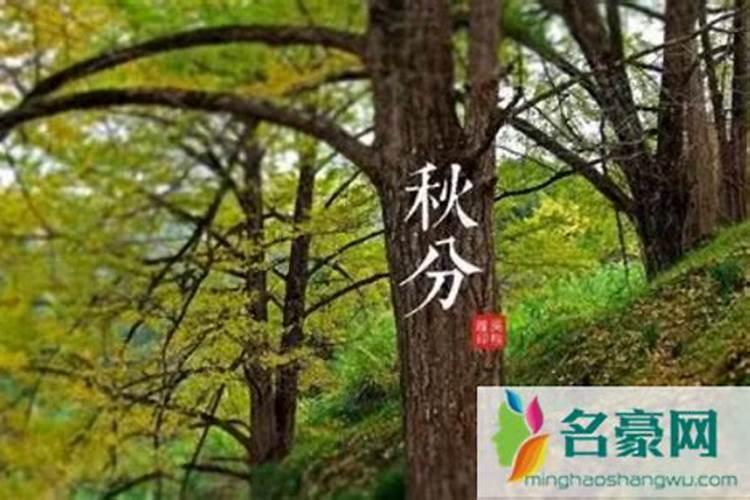 重庆的风俗重庆的风俗介绍