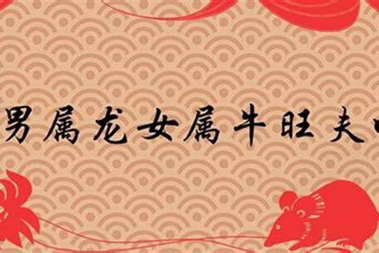 属龙女,和属牛男会相克吗