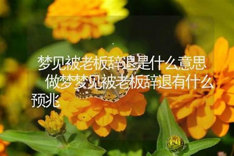 梦见被老板开除了是什么意思